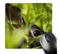 3dRose mp_90870_1 8 x 8-Inch Eastern Cottontail Rabbit, Massachusetts - Us22 Jmo0418 - Jerry and Marcy Monkman Mouse Pad