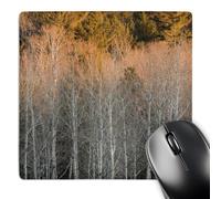 3dRose mp_91460_1 8 x 8-Inch Birch Trees, Beaver Pond Overlook, Minnesota - Us24 Rkl0093 - Raymond Klass Mouse Pad