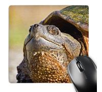 3dRose mp_92476_1 8 x 8-Inch New Jersey, Great Swamp NWR. Common Snapping Turtle - Us31 Jgl0028 - Jim Gilbert Mouse Pad
