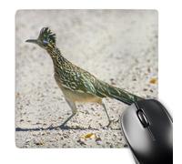 3dRose mp_92557_1 8 x 8-Inch New Mexico, Bosque Del Apache, Roadrunner Bird - Us32 Bja0086 - Jaynes Gallery Mouse Pad