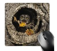 3dRose mp_93681_1 8 x 8-Inch USA, Oregon, Mosier. Screech Owl in Old Oak Tree - Us38 Bja0676 - Jaynes Gallery Mouse Pad