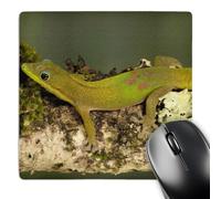 3dRose mp_94192_1 8 x 8-Inch Gold Dust Day Gecko Lizard, Madagascar - Us39 Jmc0025 - Joe and Mary Ann McDonald Mouse Pad