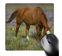 3dRose mp_94442_1 8 x 8-Inch Quarter Horse in Field of Wildflowers Devine Texas - Us44 Dgu0114 - Darrell Gulin Mouse Pad