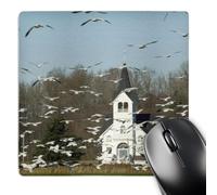 3dRose mp_96869_1 8 x 8-Inch Wa, Skagit Valley, Masses of Snow Geese Birds - Us48 Tdr0043 - Trish Drury Mouse Pad