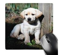 3dRose mp_969_1 8 x 8-Inch Cute Yellow Lab Puppy Mouse Pad