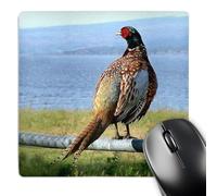 3dRose mp_971_1 8 x 8-Inch Pheasant Mouse Pad