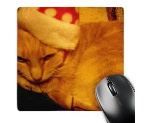 3dRose mp_97981_1 8 x 8-Inch Precious Little Cat Ready for Christmas in Her Santa Hat Mouse Pad