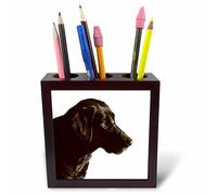 3dRose ph_203710_1 5-Inch Print of Chocolate Lab Portrait Tile Pen Holder