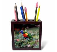 3dRose ph_226236_1 5-Inch Australia/Eastern States of Australia/Close-Up of Rainbow Lorikeets Tile Pen Holder