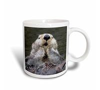 3dRose Sea Otter with Its Paws Out of The Water to Keep Them Warmer Ceramic Mug, 15-Ounce