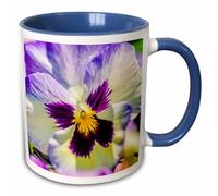 3dRose Sunlit White, Purple and Yellow Viola Tricolor. Macro View 11oz Two-Tone Blue Mug