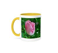 3dRose Tulip Macro Flower 11oz Two-Tone Yellow Mug