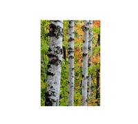 3dRose USA, Michigan/Birch Trunk and Maple Leaves Towel, White, 15 x 22-Inch