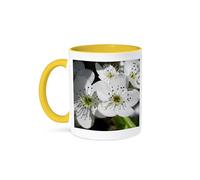 3dRose White Flowering Tree Floral Macro Flowers 11oz Two-Tone Yellow Mug