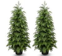 3ft Artificial Cedar Topiary Trees 2 Pack,Real Touch Cedar Tree Faux Plants Potted UV Resistant Evergreen Tree for Outdoor Indoor Door Garden Farmhouse Home Decoration