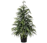 3Ft Norfolk Pine Tree Real Touch Artificial Realistic Christmas Tree in Decorative Planter for Front Porch Farmhouse Offices Home Graden Indoor Outdoor Decor (Green)