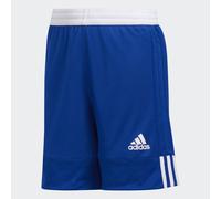 3G Speed Reversible Shorts