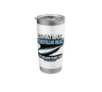 3I Atlas Interstellar Object ~11 Billion Years Old Stainless Steel Insulated Tumbler