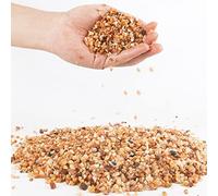 3lb Coarse Sand Stone-Succulents and Cactus Bonsai DIY Projects Rocks,Decorative Gravel for Plants and Vases Fillers,Terrarium,Fairy Gardening,Natural Stone Top Dressing for Potted Plants (2mm-4mm)