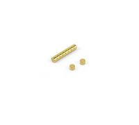 3mm Dia X 2mm Thick N42 Neodymium Magnet - Gold Plated ( Pack Of 10 )