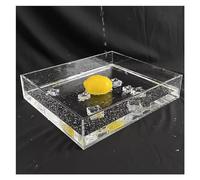 3mm Thick Clear Shallow Water Tank,Photography Storage Tray,Photo Posing Props,Acrylic Display Case Showcase,5/10CM Height Cosmetic Advertising Shooting Props (Color : 3mm-Clear, Size : 20x20x5cm)