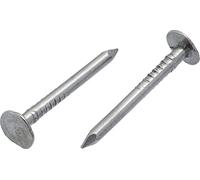 3mm x 30mm Steel Roof Nails Large Head Felt Clout Felt Tacks (Pack of 100) C10E/1
