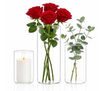 3Pack Glass Cylinder Vase, Clear Bud Vases for Table Centerpiece Wedding | Reusable clear glass, mini cylinder bud vases, for party/birthday/living room/home/shower/hurricane, modern decor centerpiece
