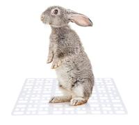 3pc Plastic Rabbit Foot Mat Gridding Design with Fixed Buckle | Easy Cleaning, Reduces Sprain Risk, Comfortable Sleeping Surface, for Living Room and Bathroom Use