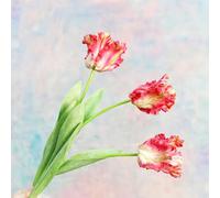 3Pcs 3D Parrot Tulips Artificial Flowers Faux Tulips Real Touch Long Stem Fake Tulips Bouquet for Home Office Wedding Table Decor 27.56" Tall-Red