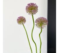 3Pcs Artificial Allium Snowball Stems Fake Dandelion Plastic Flowers Wedding Arrangement Table Centerpieces Decoration (Purple)