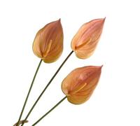 3Pcs Artificial Anthurium Lily Flowers for home decor dining table centerpiece prom party decor (Orange)