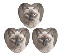 3PCS Beautiful Siamese Cat Car Air Freshener Hanging Scented Cards Cute Black Car Fresheners Long Lasting New Cars Scents for Women Men Natural Air Freshener with Lanyard Automotive Fresh