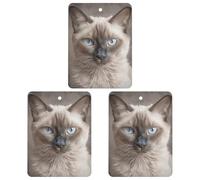 3PCS Beautiful Siamese Cat Car Air Freshener Hanging Scented Cards Cute Black Car Fresheners Long Lasting New Cars Scents for Women Men Natural Air Freshener with Lanyard Automotive Fresh