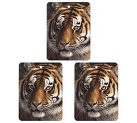 3PCS Bengal Tiger Car Air Freshener Hanging Scented Cards Cute Gray Car Fresheners Long Lasting New Cars Scents for Women Men Natural Air Freshener with Lanyard Automotive Freshies