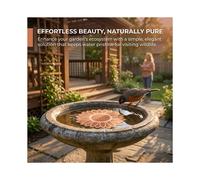 3Pcs Bird Bath Copper Purification Disk Water Cleaning Discs for All-Season Outdoor Birdbaths, Bowls, Garden Fountains
