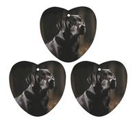 3PCS Black Labrador Car Air Freshener Hanging Scented Cards Cute Gray Car Fresheners Long Lasting New Cars Scents for Women Men Natural Air Freshener with Lanyard Automotive Freshies
