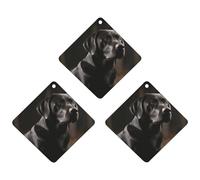 3PCS Black Labrador Car Air Freshener Hanging Scented Cards Cute White Car Fresheners Long Lasting New Cars Scents for Women Men Natural Air Freshener with Lanyard Automotive Freshies