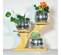 3pcs Disco Ball Planter with 3 Tier Bamboo Saucers Stand Holder,Silver Glass Mirror Plastic Disco Ball Vase Wood Plant Holder,Mini Cactus Succulent Flower Pot Disco Decor for Home Office Desk Garden