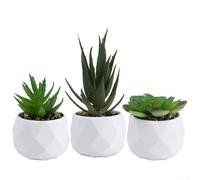 3pcs Faux Succulent Plant Set for For home and Office Perfect for Any Decor Style (set3)