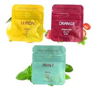 3PCS Flavoured Inner Filter, Lemon Mint Cranberry Scented Breathing Sticks, Lemon Mint Cranberry Fragrance Sticks, Portable Mindfulness Tool for Sensory Stimulation and Focus (Random)