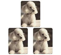 3PCS French Poodle Car Air Freshener Hanging Scented Cards Cute Gray Car Fresheners Long Lasting New Cars Scents for Women Men Natural Air Freshener with Lanyard Automotive Freshies