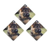 3PCS German Shepherd Puppy Car Air Freshener Hanging Scented Cards Cute Gray Car Fresheners Long Lasting New Cars Scents for Women Men Natural Air Freshener with Lanyard Automotive Freshies