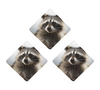 3PCS Hairy Raccoon Car Air Freshener Hanging Scented Cards Cute lavender Car Fresheners Long Lasting New Cars Scents for Women Men Natural Air Freshener with Lanyard Automotive Freshies