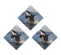 3PCS Killer Whale Car Air Freshener Hanging Scented Cards Cute tea Car Fresheners Long Lasting New Cars Scents for Women Men Natural Air Freshener with Lanyard Automotive Freshies