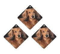3PCS Long Haired Dachshund Car Air Freshener Hanging Scented Cards Cute White Car Fresheners Long Lasting New Cars Scents for Women Men Natural Air Freshener with Lanyard Automotive Freshies