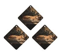 3PCS Orange Cat Sleeping Car Air Freshener Hanging Scented Cards Cute Gray Car Fresheners Long Lasting New Cars Scents for Women Men Natural Air Freshener with Lanyard Automotive Freshies