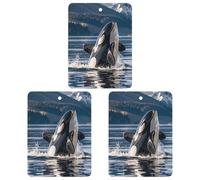 3PCS Orca Killer Whale Car Air Freshener Hanging Scented Cards Cute White Car Fresheners Long Lasting New Cars Scents for Women Men Natural Air Freshener with Lanyard Automotive Freshies