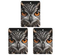 3PCS Owl Eyes Car Air Freshener Hanging Scented Cards Cute White Car Fresheners Long Lasting New Cars Scents for Women Men Natural Air Freshener with Lanyard Automotive Freshies