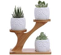 3pcs Owl Succulent Pots with 3 Tier Bamboo Saucers Stand Holder - White Modern Decorative Ceramic Flower Planter Plant Pot with Drainage - Home Office Desk Garden Mini Cactus Pot Indoor Decoration