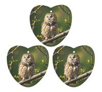 3PCS Owl Tree Branches Car Air Freshener Hanging Scented Cards Cute White Car Fresheners Long Lasting New Cars Scents for Women Men Natural Air Freshener with Lanyard Automotive Freshies